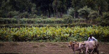 All the money received under PM Kisan scheme will have to be back, government has recovered ₹ 416 crore - India tv hindi