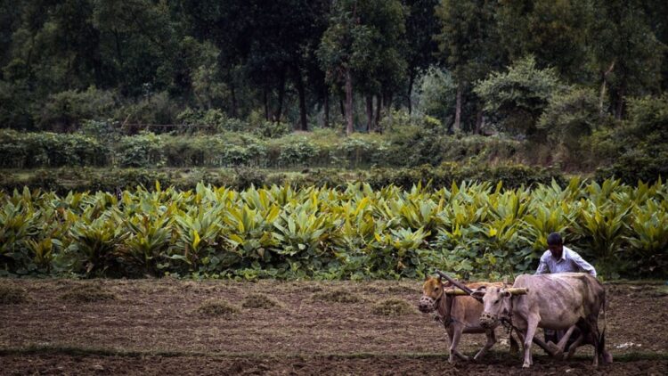 All the money received under PM Kisan scheme will have to be back, government has recovered ₹ 416 crore - India tv hindi