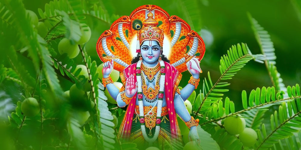 Amalaki Ekadashi 2025 The donation of these things is overcome by donating all the troubles and obstacles