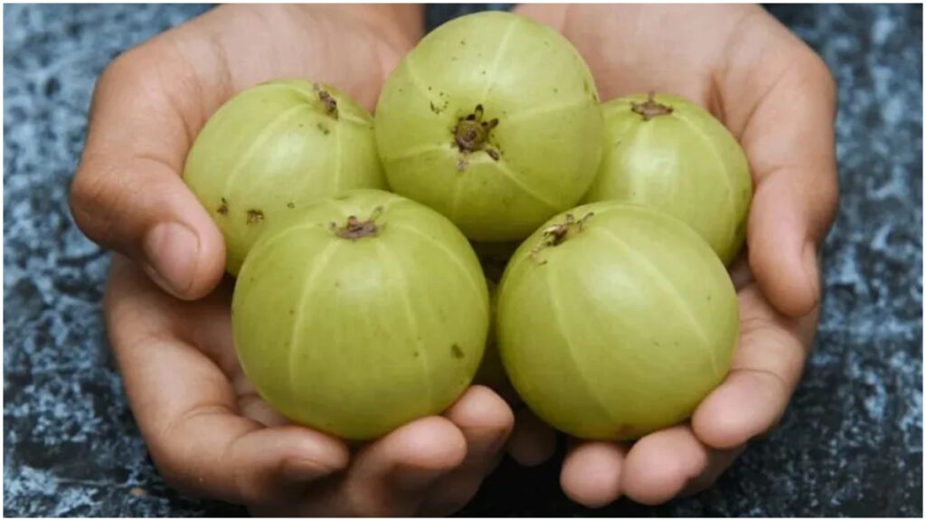 Amla is cold or hot, know what is the effect of this super food? - India tv hindi