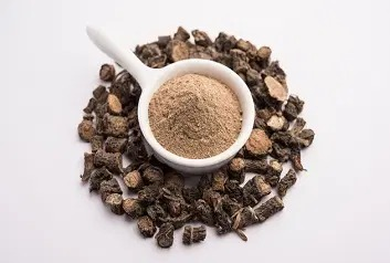 Black musli is a boon for health, helpful in removing kidney problem
