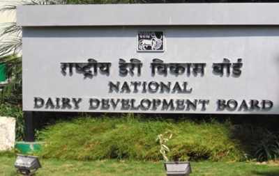 कैबिनेट ने संशोधित डेयरी विकास योजना को दी मंजूरी, बजट बढ़ाकर 2,790 करोड़ रुपये किया