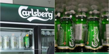 Carlsberg India's fierce earnings, 60% profit in FY24 increased profit - India tv hindi