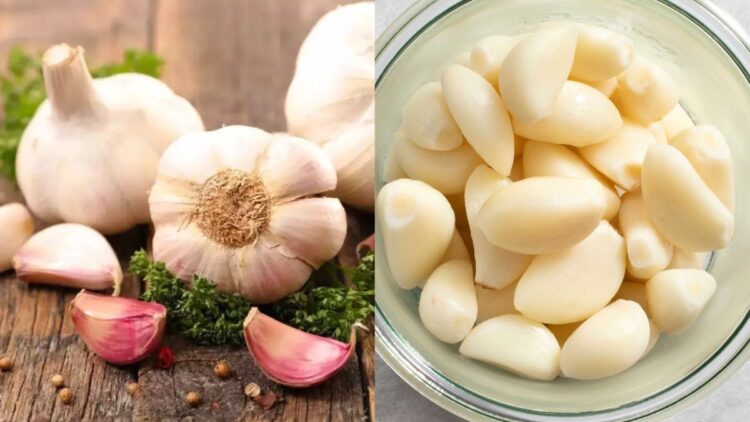 Consumption of garlic gives health benefits, know why it is given to it - India tv hindi