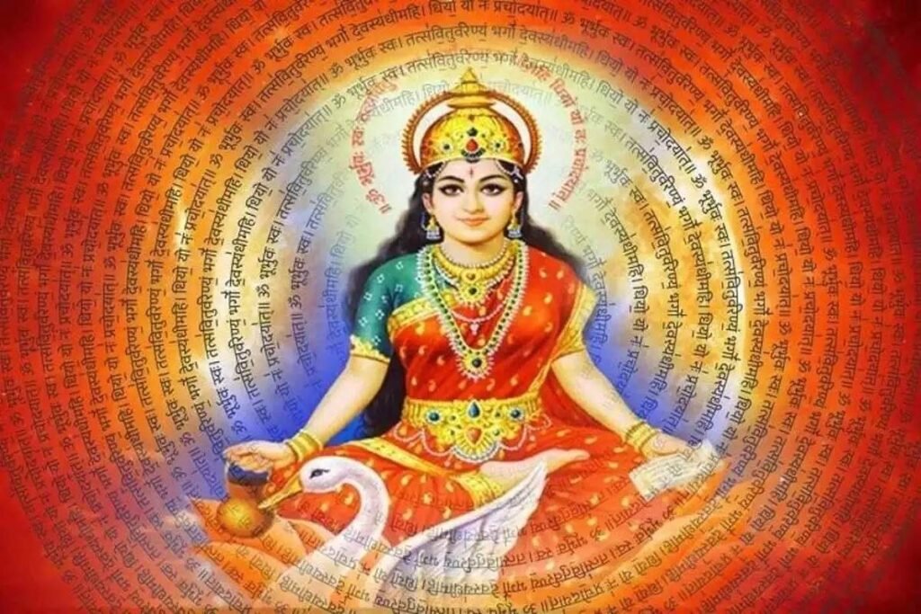 safsad