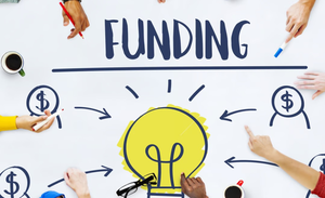 Domestic startup raised more than $ 150 million this week