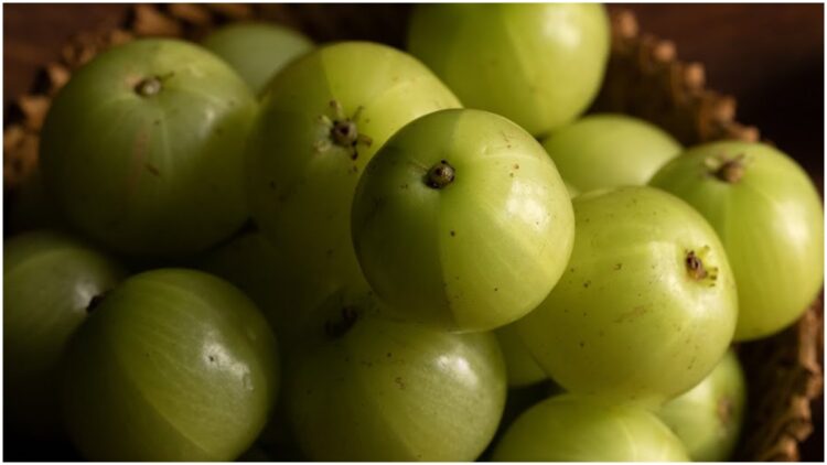 Eat this green thing full of medicinal properties every day throughout the month, what is the effect on the body? - India tv hindi