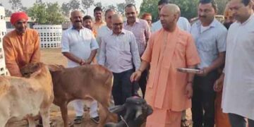 गोरखपुर: सीएम योगी ने गौ माता का गुलाल से किया तिलक, प्रदेशवासियों की दी होली की शुभकामनाएं