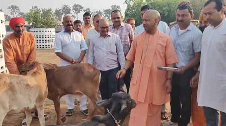 गोरखपुर: सीएम योगी ने गौ माता का गुलाल से किया तिलक, प्रदेशवासियों की दी होली की शुभकामनाएं