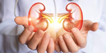 How to protect against Chronic Kidney Disease? Know the opinion of the expert here