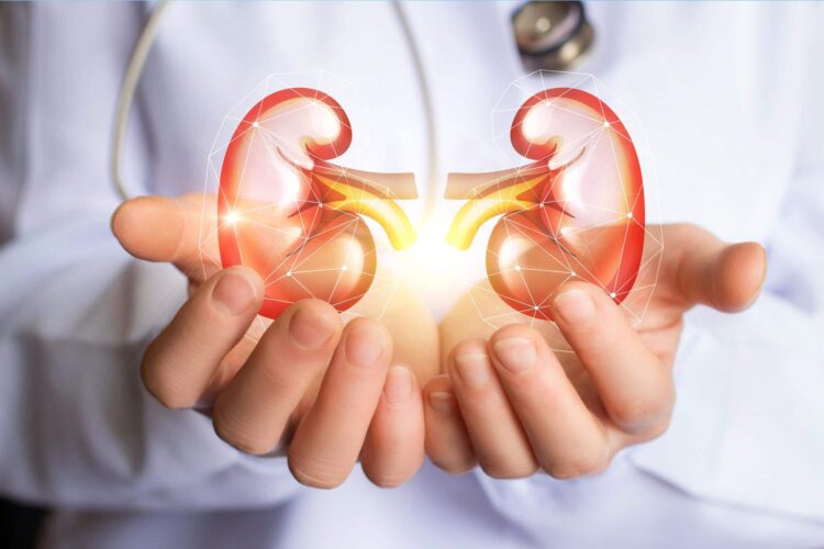 How to protect against Chronic Kidney Disease? Know the opinion of the expert here