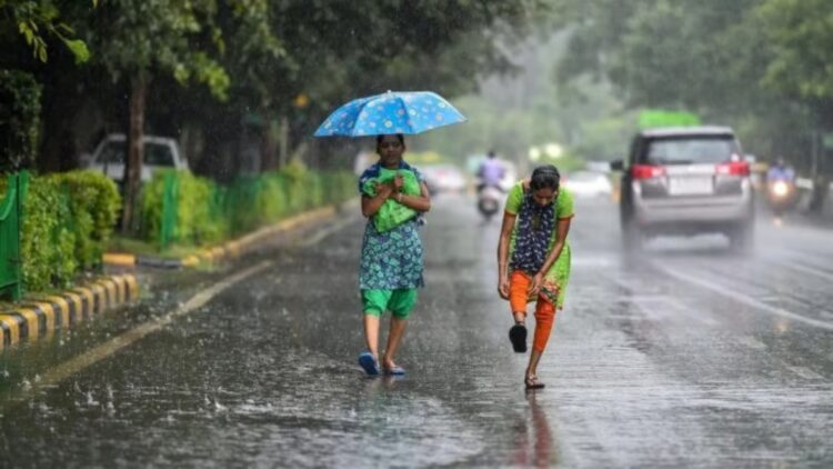 IMD Alert: Will the cold continue till Holi? Rain alert continues in Delhi, Bihar, UP - India tv hindi