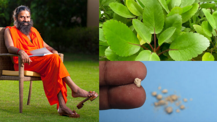 In case of stones in the kidney, eat these leaves, without operation, stones will come out - India tv hindi