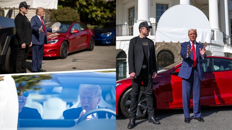 In support of Elon Musk, Trump bought Tesla car, drove itself and praised fiercely - India tv hindi