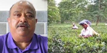 तीसरा सबसे बड़ा चाय निर्यातक बना भारत, 2024 में हुई 7,111 करोड़ रुपये की आय