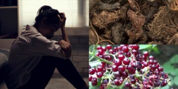 Jatamansi is the same for people struggling with depression - India tv hindi