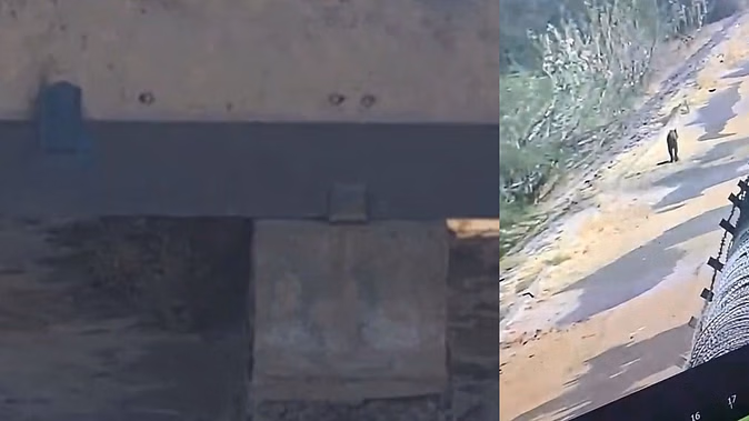 Leopard roaming for 60 hours in Rajasthan's largest refinery, panic among laborers