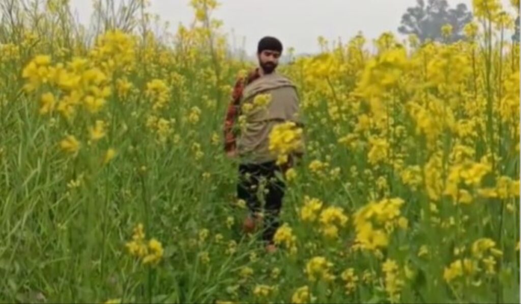'Mai Na Hoi', the song of this Bhojpuri singer will be heard emotional, people are getting very much - India tv hindi