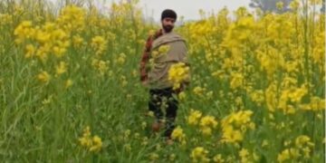'Mai Na Hoi', the song of this Bhojpuri singer will be heard emotional, people are getting very much - India tv hindi
