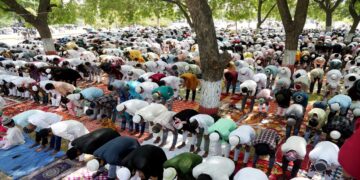 'Modi -Dhami' food kit, Uttarakhand Waqf Board's decision to be distributed among poor Muslims on Eid - India tv hindi