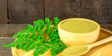Moringa is extremely beneficial for health, know how to do in diet? - India tv hindi