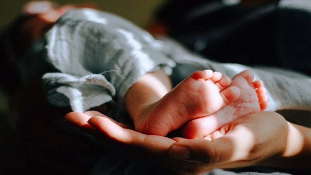 Newborn's body was found in the entire area, police investigation started due to the dead body of the newborn in the dustbin