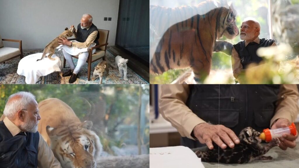 PM Modi was seen to bear the lion cubs in Vanatara, the heart was visible - India tv hindi