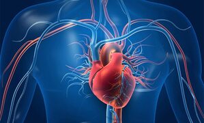 Research for the treatment of ischemic heart failure raised a ray of hope