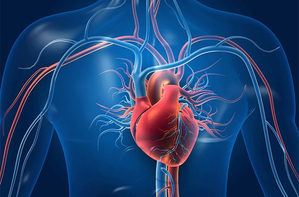 Research for the treatment of ischemic heart failure raised a ray of hope