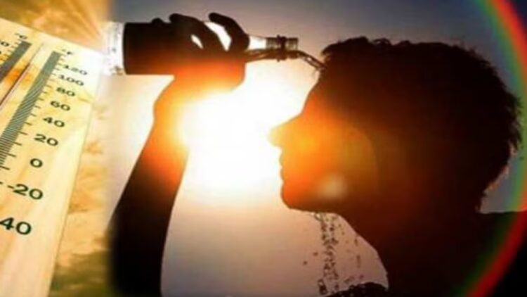 Stay ready for scorching heat this year, learn the latest IMD update regarding heatwave - India tv hindi