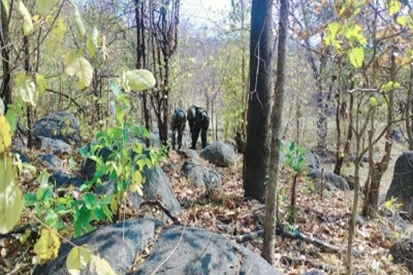 Sukma: Security forces killed Naxalite leader Jagdish alias Budhra, number of Naxalites killed 17