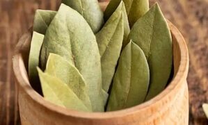 The bay leaf is very fast, its leaves make a big effect