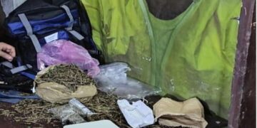 The boys hostel of a government college became a drug hall, 2 kg ganja barmad; 3 students arrested - India tv hindi