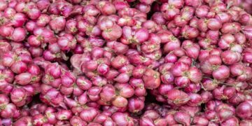 The government withdrew 20% export duty on onions from April 1, will the prices increase again? - India tv hindi