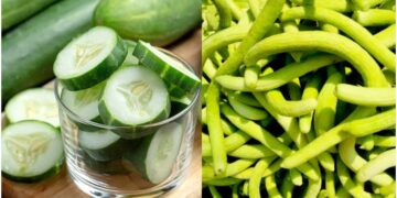 Which of the two cucumber or cucumber, which of the body supplies more water in the body? - India tv hindi