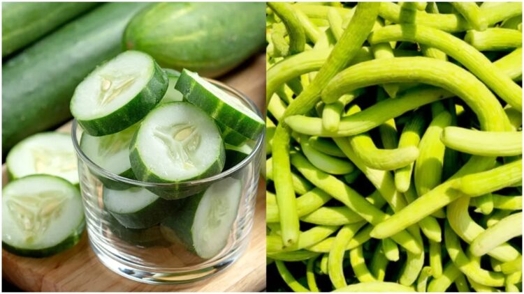 Which of the two cucumber or cucumber, which of the body supplies more water in the body? - India tv hindi