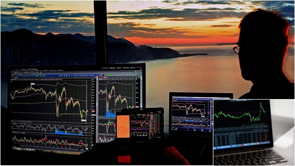 Which shares jumped the most in the last 1 year and which fell the most? - India tv hindi