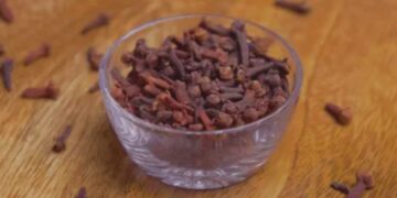 Why should you be chewed after eating?