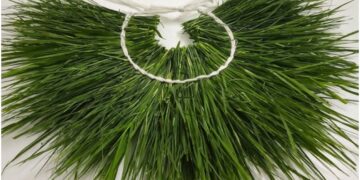 According to Ayurveda, boon for health, Durva grass, many problems will go away - India tv hindi