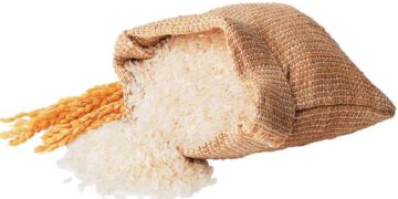 American Tariff: Shadow of tariff on Indian agriculture