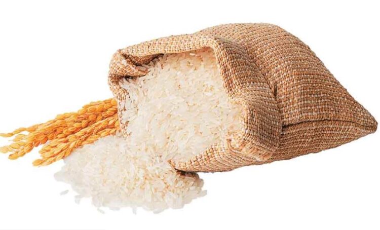 American Tariff: Shadow of tariff on Indian agriculture