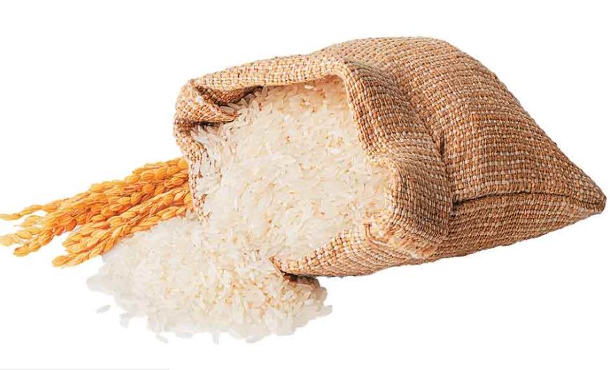 American Tariff: Shadow of tariff on Indian agriculture