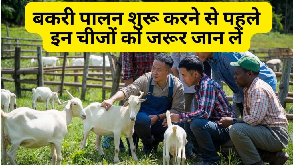 बकरी पालन शुरू करने से पहले ज़रूर जान लें ये 20 ज़रूरी टिप्स,मुनाफे का सौदा है ये धंधा