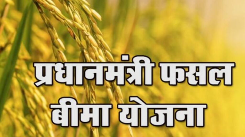 Big good news for farmers, crop insurance scheme may be a big change - Betul Samachar