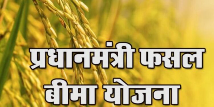 Big good news for farmers, crop insurance scheme may be a big change - Betul Samachar