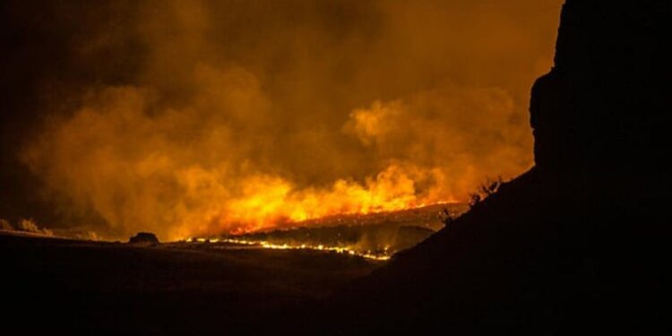 Climate change challenges: burning earth calls