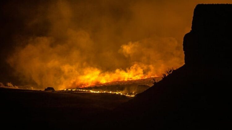 Climate change challenges: burning earth calls