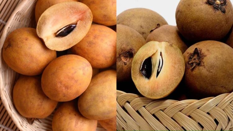 Consuming Chiku is very beneficial for health, know why this fruit in diet in summer - India tv hindi