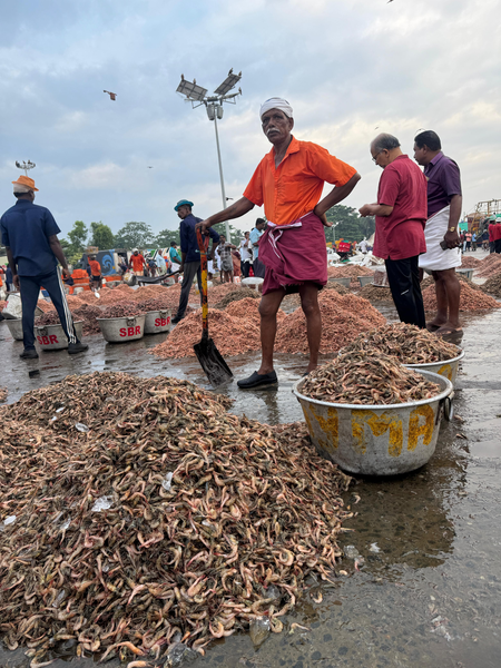 Costal States Meat 2025: Fisheries projects costing Rs 255 crore will be presented