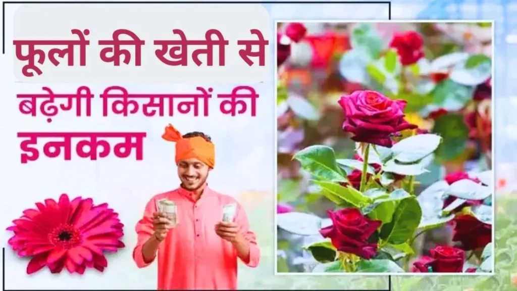 Farmers leaving traditional farming are cultivating flowers, everyone is being shocked to see profits - Betul Samachar